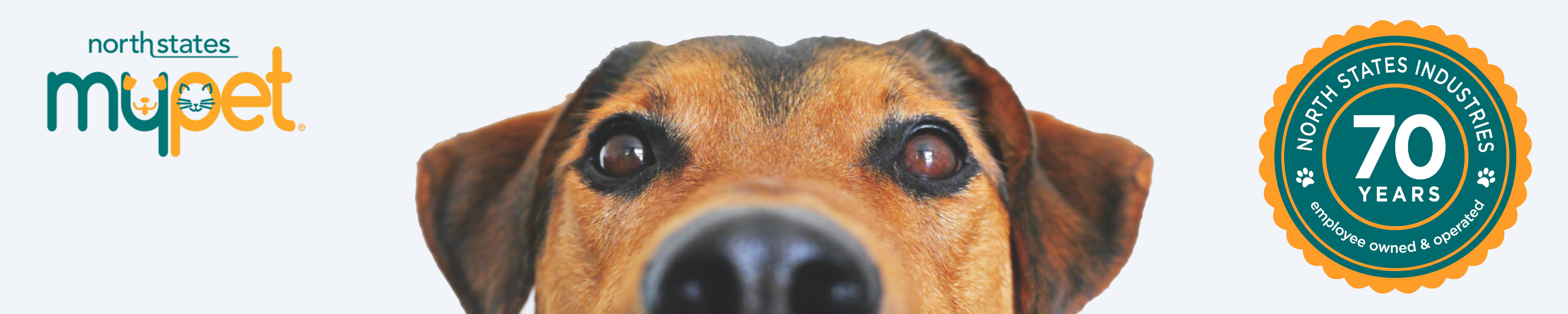 Built for Pets, Designed for Home