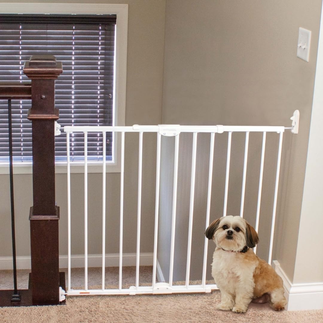 Pet Gates
